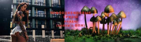 синтетический гашиш Балахна